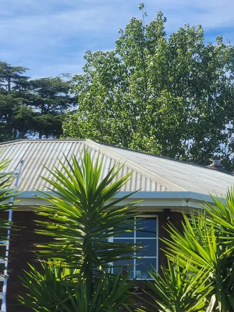 Well-maintained residential roof in Northern Tasmania showing long-lasting protection